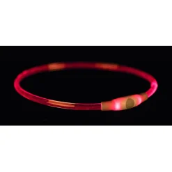 Trixie Usb Flash Lichtgevende Band - Hondenveiligheidslampje - 65 cm Multi-Color L-Xl