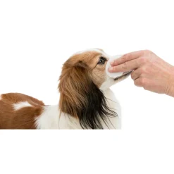 Trixie Verzorgingspads Voor De Ogen - Oogverzorgingsmiddel - 100 stuks