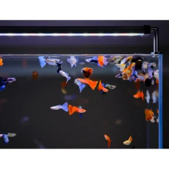 Twinstar Light Ii - Verlichting - 90b