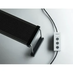 Twinstar Light Iv - Verlichting - 1200ea