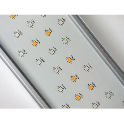 Twinstar Light Iv - Verlichting - 1200ea