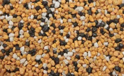 Vdl Aquariumgrind 2-3 Mm - Aquarium - Siergrind