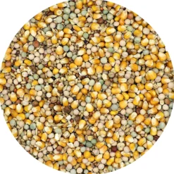 Versele-Laga Classic 4 Seizoenen - Duivenvoer - 20 kg