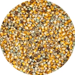 Versele-Laga Classic Kweek & Sport - Duivenvoer - 20 kg