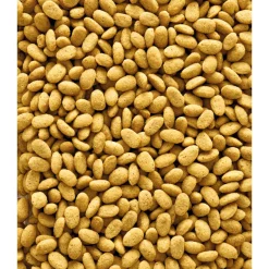 Versele-Laga Nutribird P19 Original Papegaai Kweekvoer - Vogelvoer - 10 kg