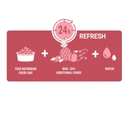 Versele-Laga Nutribird P19 Tropical Papegaai Kweekvoer - Vogelvoer - 10 kg