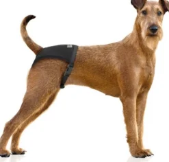 Vetlando Wasbare Loopsheidbroekje Zwart - Hondenloopsheid