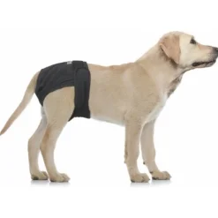 Vetlando Wasbare Luier Voor Teven Zwart - Hondenzindelijkstraining