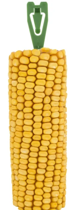 Vitakraft Golden Corn Maiskolf - Knaagdiersnack - 2 stuks