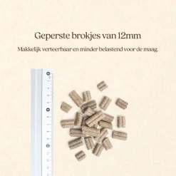 Vitalstyle Maag & Darmen - Hondenbrokken - 12 kg