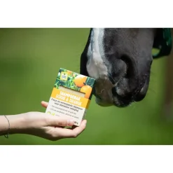 Vitalstyle Shampoobar Scrub & Orange - Paardenvachtverzorging - 180 g