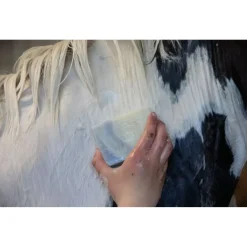 Vitalstyle Shampoobar White & Peppermint - Paardenvachtverzorging - 180 g