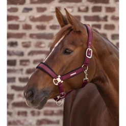 Waldhausen Breath - Halster - Wijnrood Cob