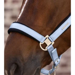 Waldhausen Breath - Halster - Cob