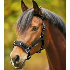 Waldhausen Cavesson Economic - Longeerhalster Zwart - Paardenhalster