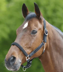 Waldhausen Halster Chrystal Verstelbaar Zwart - Paardenhalster
