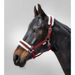 Waldhausen Halster First Bordeaux - Paardenhalster