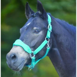 Waldhausen Halster Soft Fleece Gevoerd - Paardenhalster - Azure Gevoerd Soft Fleece Pony