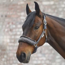 Waldhausen Halter Elegant - Paardenhalster - Pony