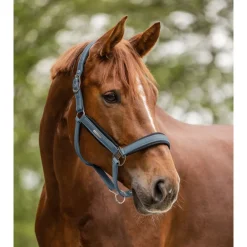 Waldhausen Halter Mesh Zilverblauw - Paardenhalster