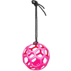 Waldhausen Hooibal - Stalbenodigdheden - Pink