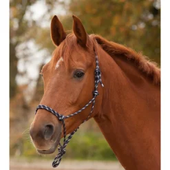 Waldhausen Knot Halter Blauw&Zilver - Paardenhalster