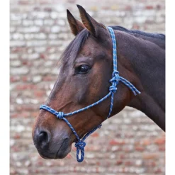 Waldhausen Knot Halter Navy&Taupe - Paardenhalster