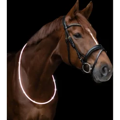 Waldhausen Led Halsband - Ruiteraccessoires