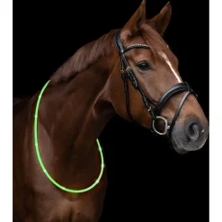 Waldhausen Led Halsband - Ruiteraccessoires