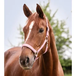 Waldhausen Perlon Satin - Halster - Lichtroze Shet