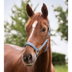Waldhausen Perlon Satin - Halster - Lichtblauw Pony