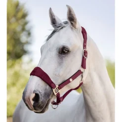 Waldhausen Rome - Halster - Wijnrood Cob