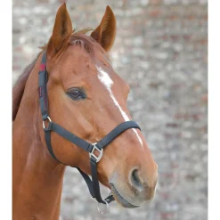 Waldhausen Veiligheidshalster Zwart&Rood - Paardenhalster