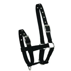 Waldhausen Veulenhalster Verstelbaar - Paardenhalster