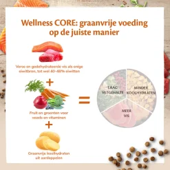 Wellness Core Grain Free Cat Sterilised Zalm - Kattenvoer