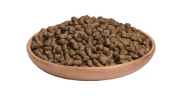 Wellness Core Grain Free Kitten - Kattenvoer