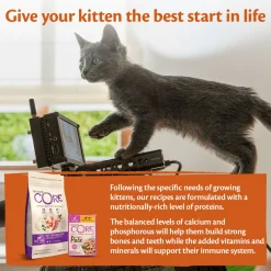Wellness Core Purely Pate Kitten - Kattenvoer - Kip Tonijn Eend 85 g