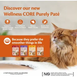 Wellness Core Purely Pate - Kattenvoer - Kip Kalkoen 85 g