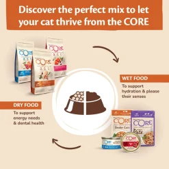 Wellness Core Purely Pate - Kattenvoer - Kip Kalkoen 85 g