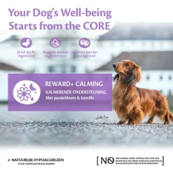 Wellness Core Reward+ Treats Duck Calming - Hondensnacks - Eend 170 g Voor Volwassen Honden Van Alle Rassen