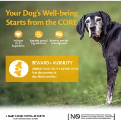 Wellness Core Reward+ Treats Turkey Mobility - Hondensnacks - Kalkoen 170 g Voor Volwassen Honden Van Alle Rassen