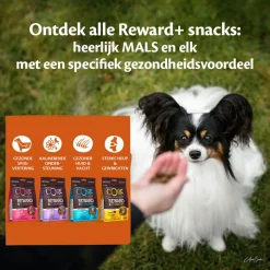 Wellness Core Reward+ Treats Krill Digestion - Hondensnacks - Krill 170 g Voor Volwassen Honden Van Alle Rassen