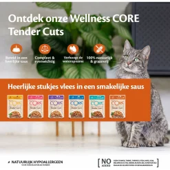 Wellness Core Tender Cuts 85 g - Kattenvoer