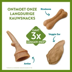 Whimzees Antler Stazak - Hondensnacks - 6 stuks Large