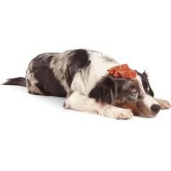 Whimzees Krokodil - Hondensnacks - Denta 11.7 cm Large