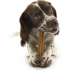 Whimzees Stix - Hondensnacks - Denta 15 cm Medium