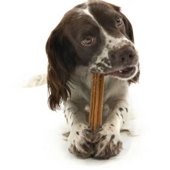 Whimzees Stix Stazak - Hondensnacks - Denta 14 stuks Medium