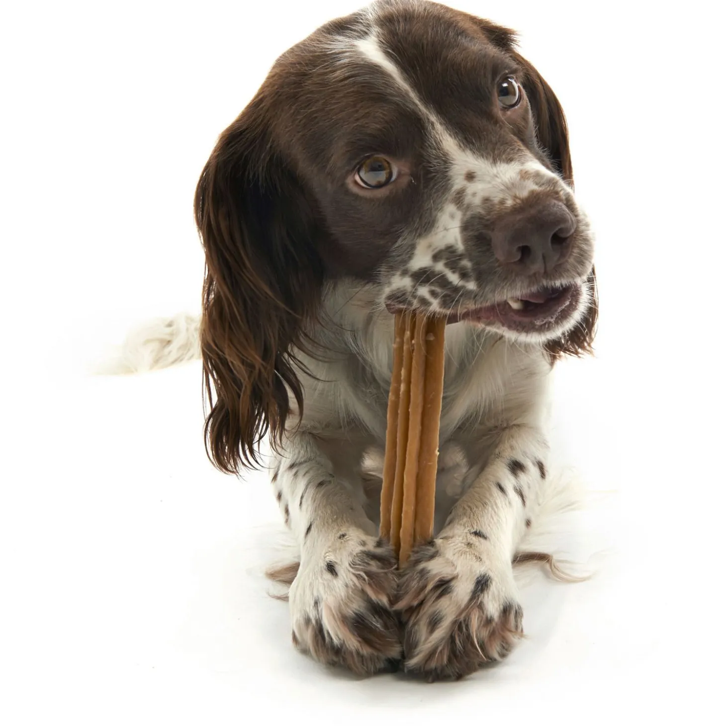 Whimzees Stix Stazak - Hondensnacks - Denta 14 stuks Medium