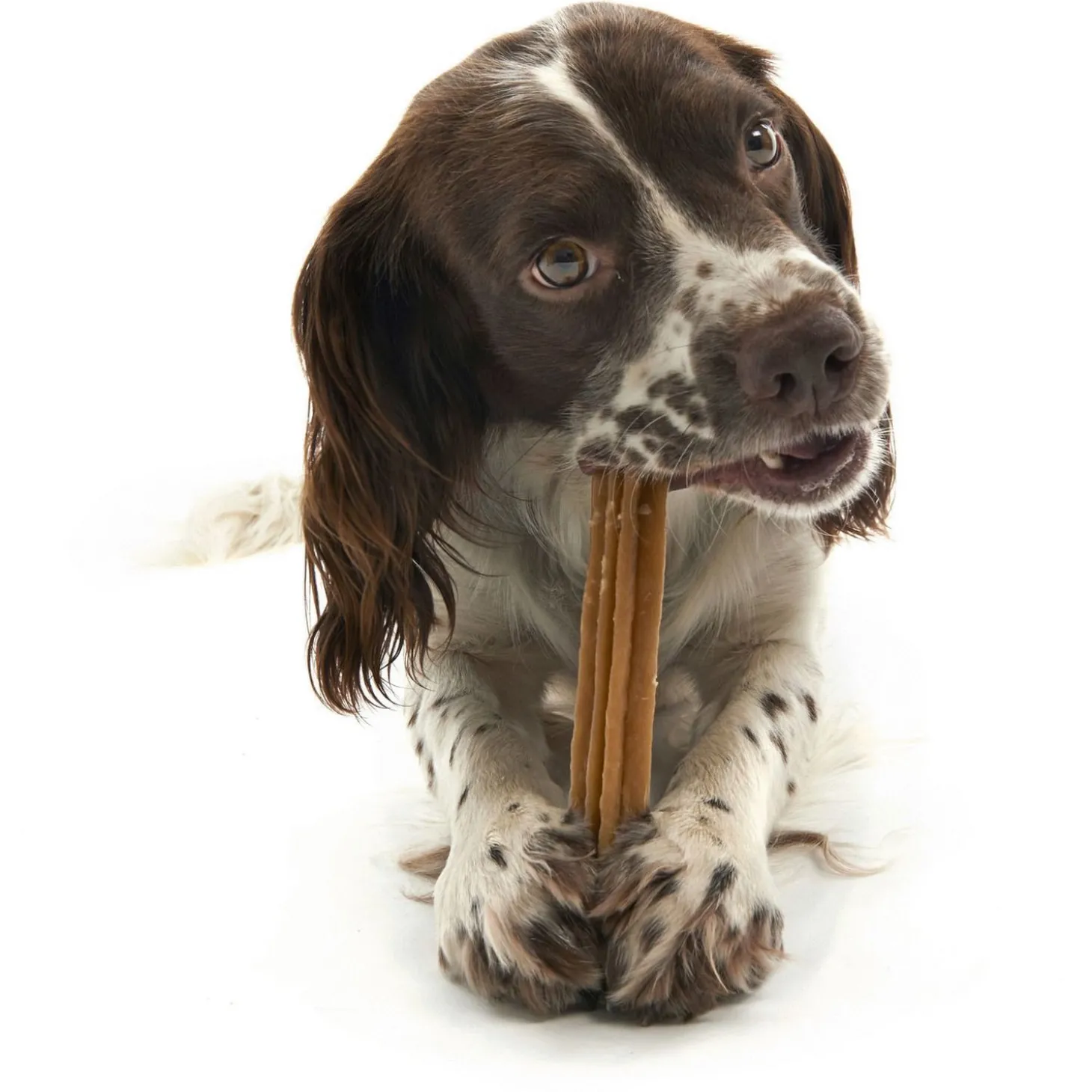 Whimzees Stix Stazak - Hondensnacks - Denta 14 stuks Medium