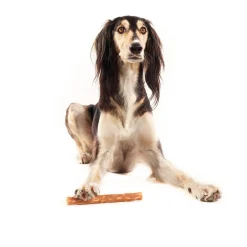 Whimzees Veggie Sausage - Hondensnacks - Denta 60 g